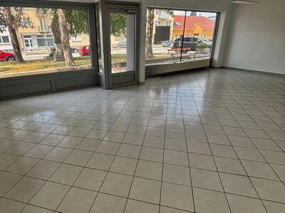 Gewerbeobjekt mieten in 2401 Fischamend (Bild 3)