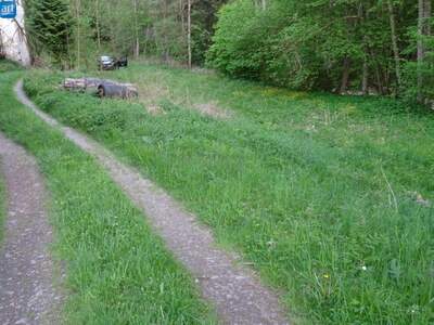 Grundstück kaufen in 4121 Altenfelden (Bild 3)