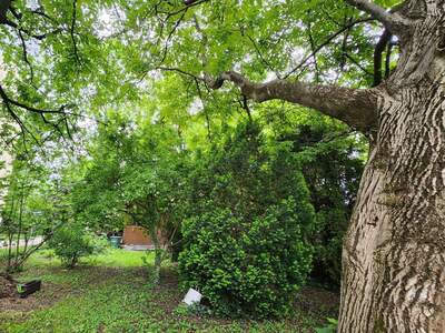 Grundstück kaufen in 8020 Graz (Bild 1)