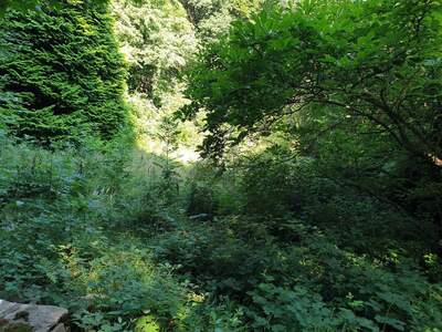 Grundstück kaufen in 1170 Wien (Bild 3)