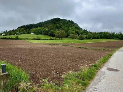 Grundstück kaufen in 9100 Völkermarkt