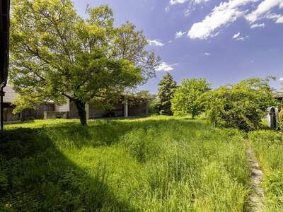 Gewerbeobjekt kaufen in 2431 Enzersdorf