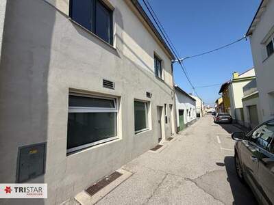 Anlageobjekt kaufen in 2620 Neunkirchen