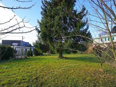 Haus kaufen in 3003 Gablitz (Bild 5)