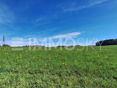 Grundstück kaufen in 5201 Seekirchen