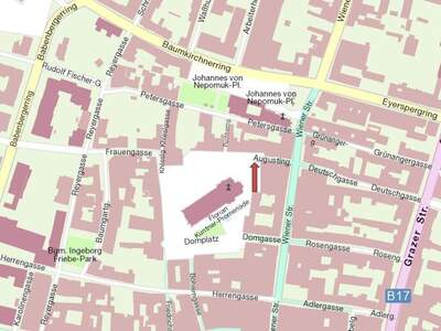 Haus kaufen in 2700 Wr. Neustadt (Bild 5)