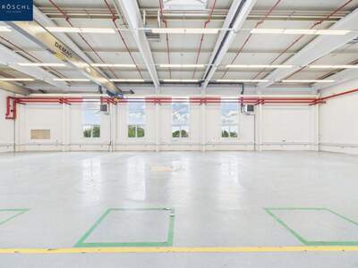 Gewerbeobjekt mieten in 3830 Waidhofen (Bild 1)