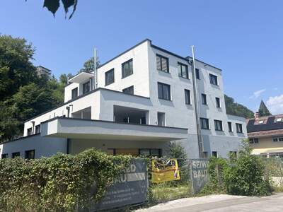 Anlageobjekt kaufen in 5400 Hallein (Bild 1)