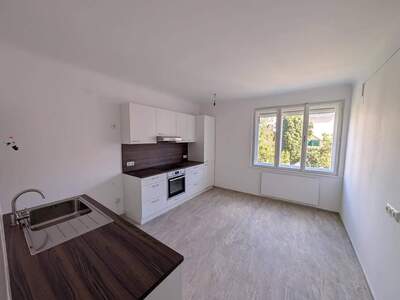Wohnung provisionsfrei mieten in 1080 Wien