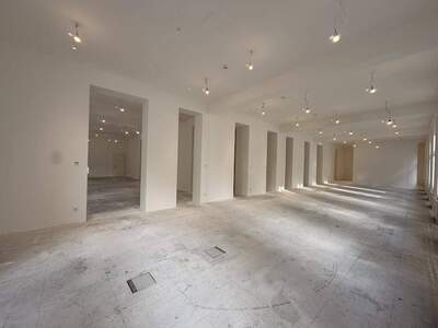 Gewerbeobjekt mieten in 1010 Wien