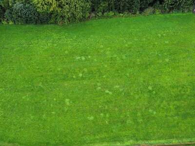 Grundstück kaufen in 8334 Riegersburg (Bild 2)