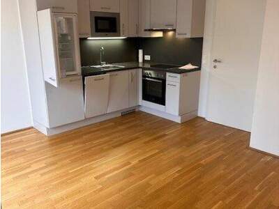 Terrassenwohnung mieten in 1220 Wien (Bild 1)