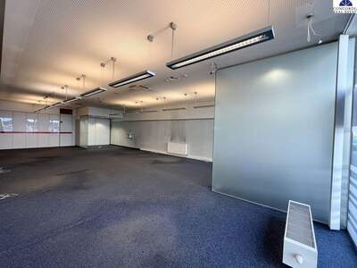 Gewerbeobjekt mieten in 1110 Wien (Bild 4)