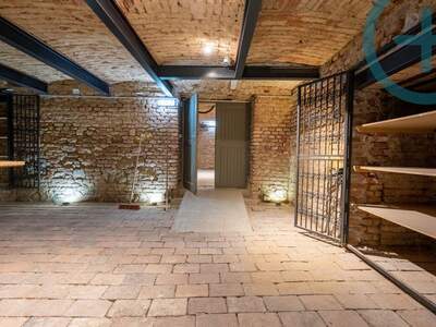 Gewerbeobjekt mieten in 2340 Mödling (Bild 3)