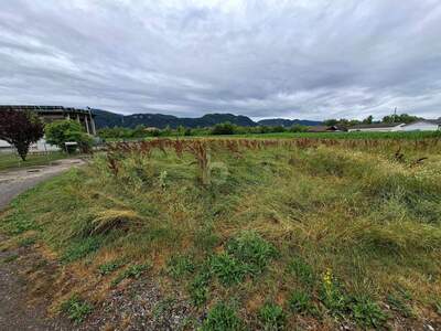 Grundstück kaufen in 9131 Grafenstein (Bild 2)