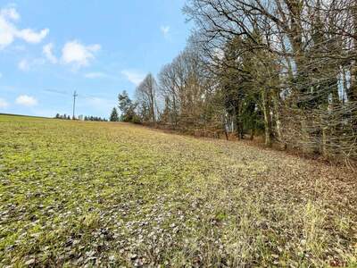 Grundstück kaufen in 7572 Deutsch Kaltenbrunn (Bild 5)