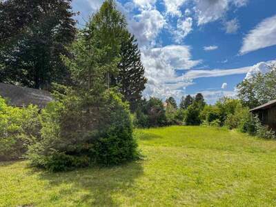 Grundstück kaufen in 2604 Theresienfeld