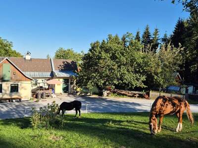 Haus provisionsfrei mieten in 8164 Stenzengreith