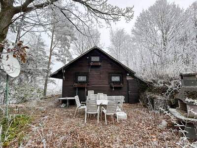 Haus kaufen in 2630 Bürg Vöstenhof