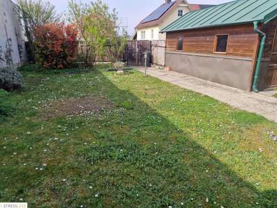 Haus mieten in 2100 Korneuburg (Bild 3)