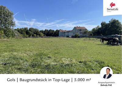 Grundstück kaufen in 7122 Gols