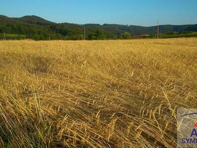 Anlageobjekt kaufen in 8282 Dietersdorf