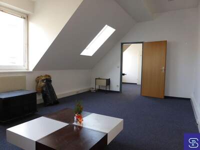 Gewerbeobjekt mieten in 1230 Wien (Bild 4)