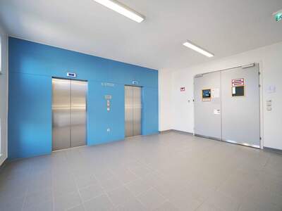 Gewerbeobjekt mieten in 1110 Wien (Bild 5)