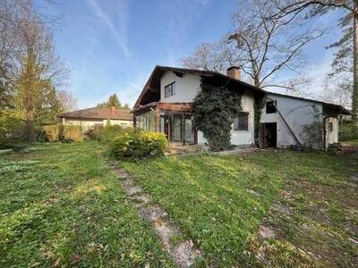 Haus kaufen in 4600 Thalheim