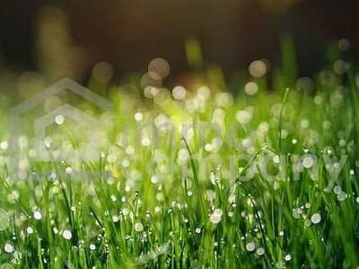 Grundstück kaufen in 2492 Zillingdorf