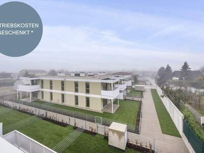 Anlageobjekt kaufen in 2540 Bad Vöslau