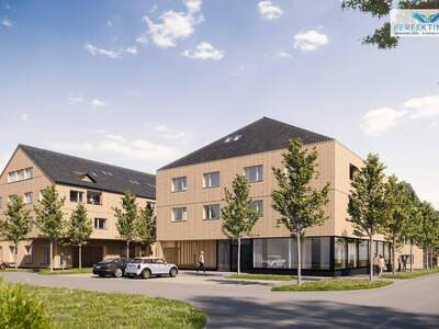 Anlageobjekt kaufen in 6914 Hohenweiler