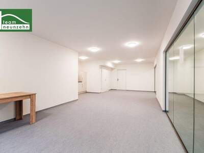 Terrassenwohnung kaufen in 1220 Wien (Bild 3)