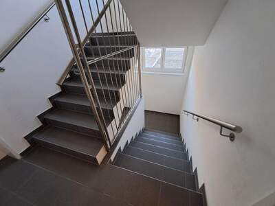 Terrassenwohnung mieten in 2000 Stockerau (Bild 4)