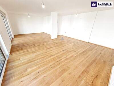 Reihenhaus kaufen in 1230 Wien (Bild 4)