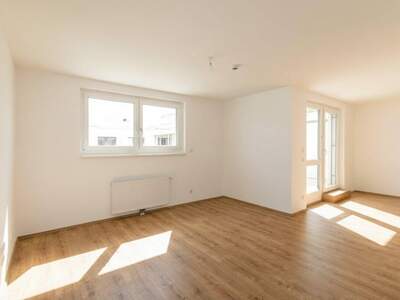 Wohnung mieten in 2700 Wiener Neustadt
