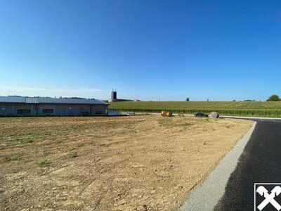 Gewerbeobjekt mieten in 4611 Buchkirchen (Bild 5)