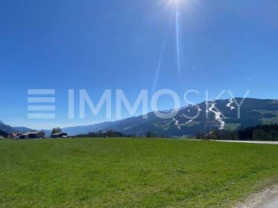 Einfamilienhaus kaufen in 8972 Ramsau (Bild 4)
