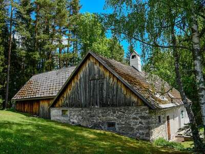 Haus kaufen in 3920 Groß (Bild 3)