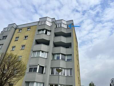 Apartment kaufen in 4481 Oberösterreich