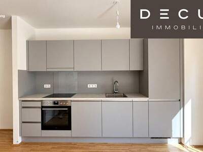 Terrassenwohnung mieten in 1030 Wien (Bild 1)