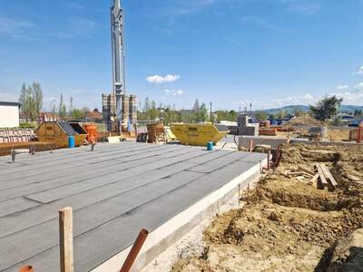 Haus mit Garten kaufen in 4400 Steyr (Bild 3)