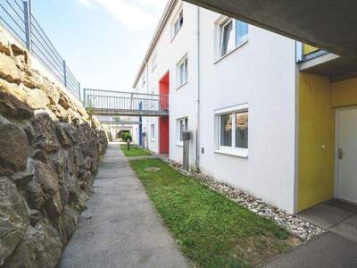 Terrassenwohnung mieten in 3382 Loosdorf (Bild 4)