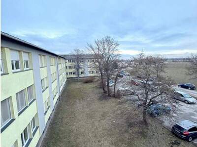 Wohnung mieten in 2482 Münchendorf