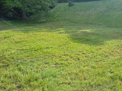 Grundstück kaufen in 4111 Walding (Bild 1)