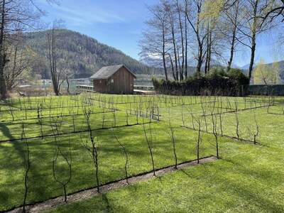 Grundstück mieten in 9122 St. Kanzian (Bild 4)