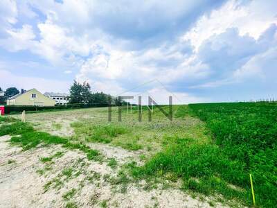 Grundstück kaufen in 2453 Sommerein