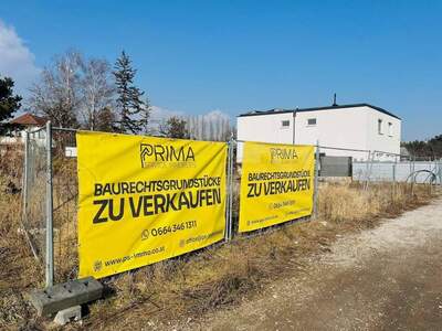 Grundstück kaufen in 2514 Möllersdorf