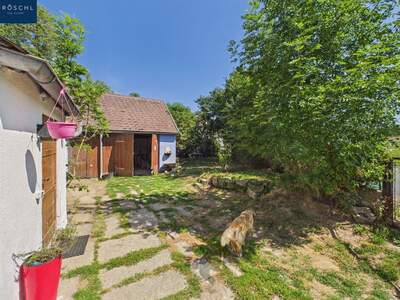 Haus mit Garten kaufen in 3862 Groß (Bild 4)
