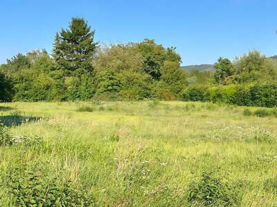 Grundstück kaufen in 3424 Wolfpassing (Bild 5)